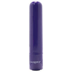 Tiny Teasers Bullet Vibe in Purple